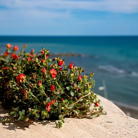 Otel Smy Aran Blu Roma Mare (adults Only) Lido di Ostia